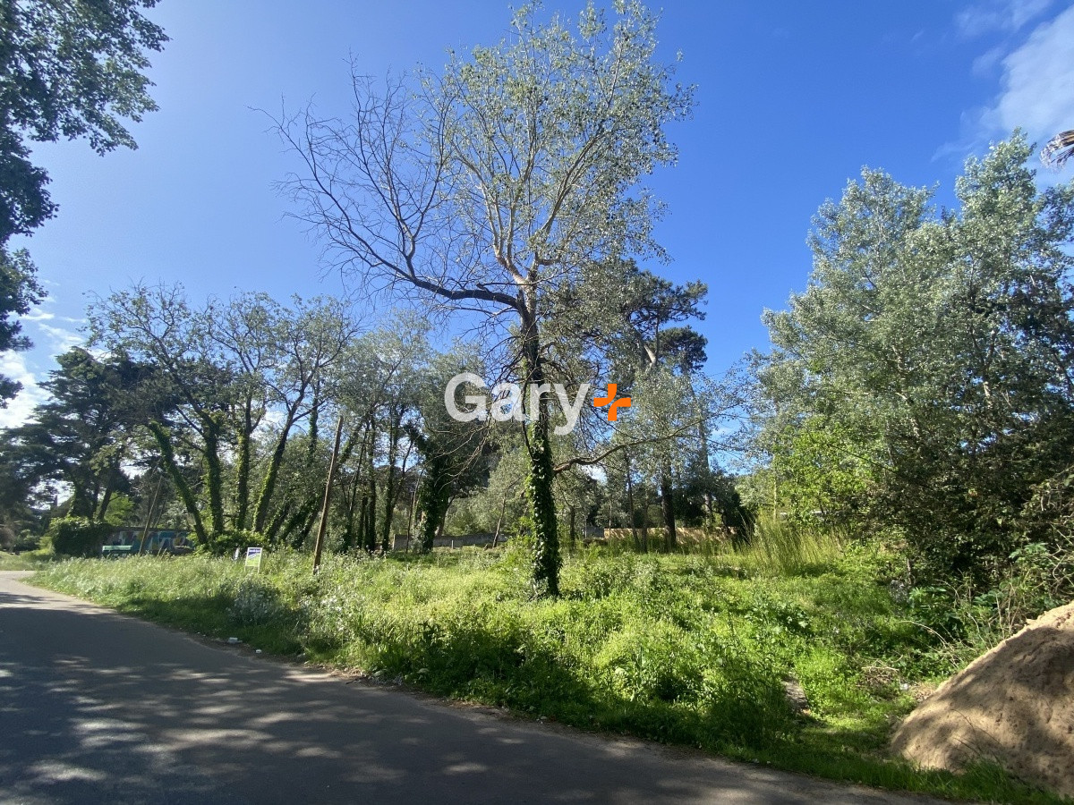 Lugano - GoPunta - Portal Inmobiliario de Punta del Este - Maldonado