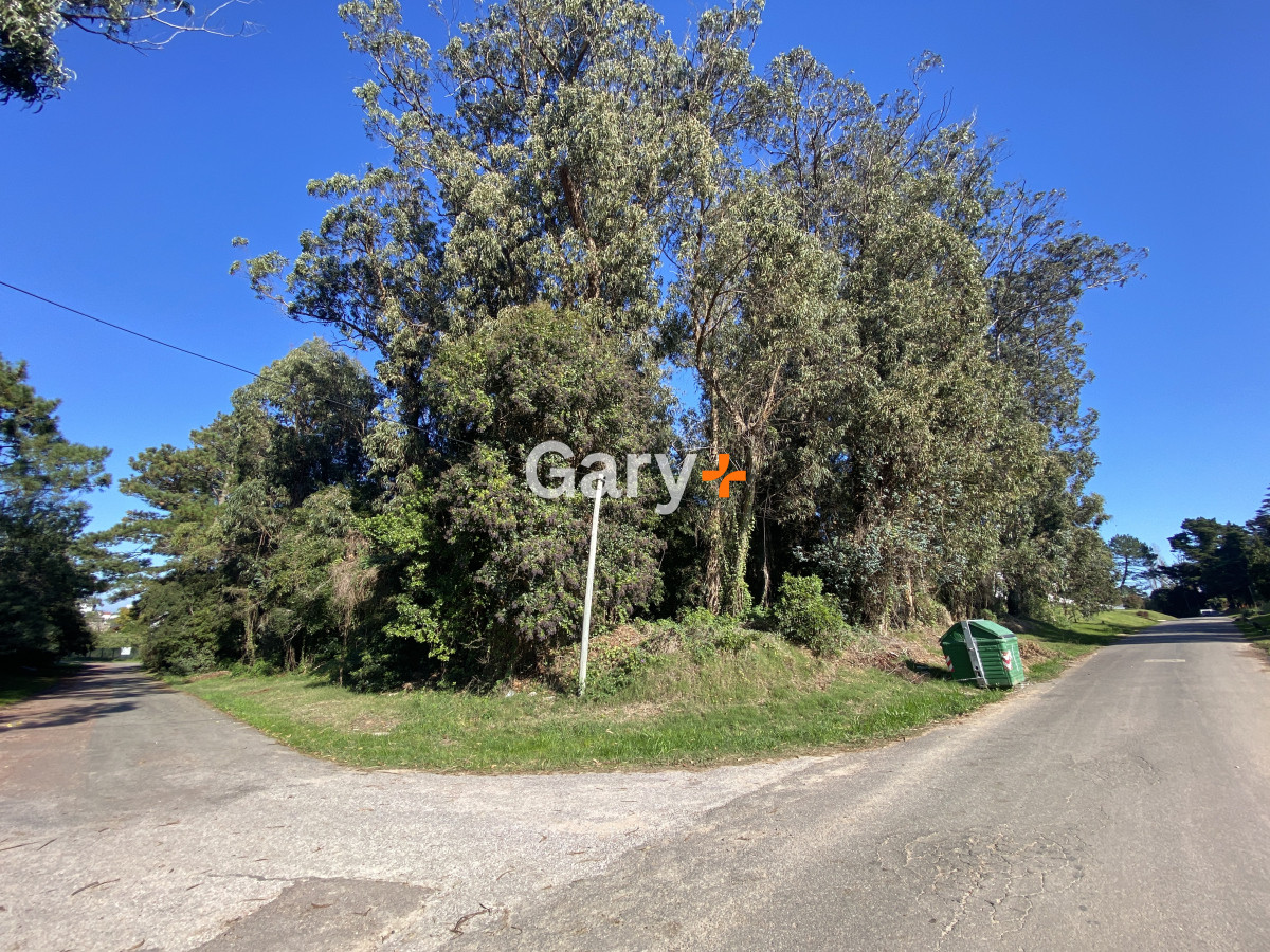 Rincón del Indio - GoPunta - Portal Inmobiliario de Punta del Este - Maldonado