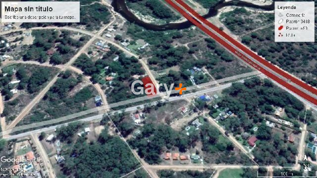 Chihuahua - GoPunta - Portal Inmobiliario de Punta del Este - Maldonado