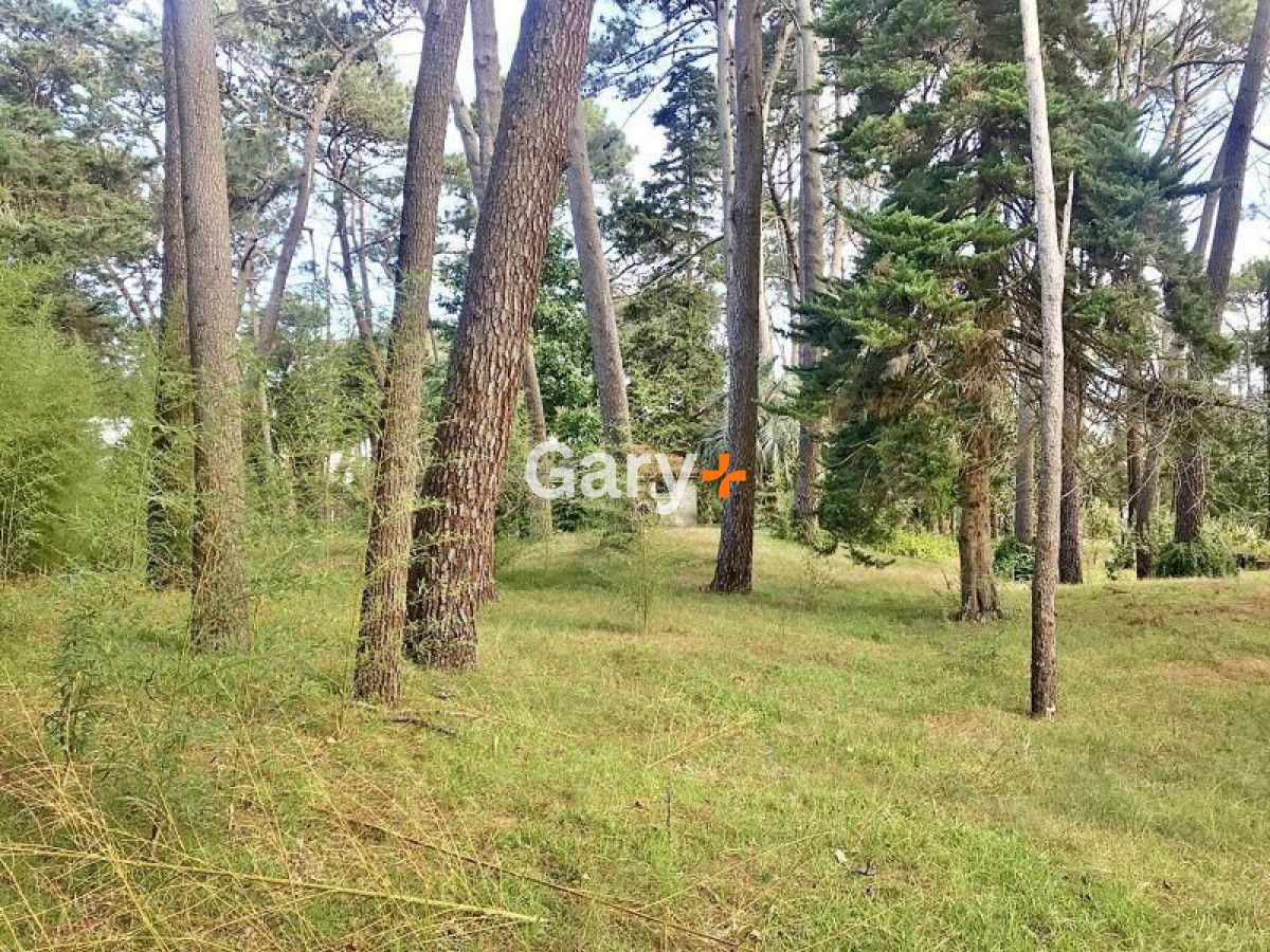 Cantegril - GoPunta - Portal Inmobiliario de Punta del Este - Maldonado