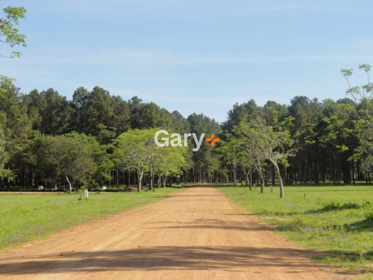 Camino Lussich - GoPunta - Portal Inmobiliario de Punta del Este - Maldonado