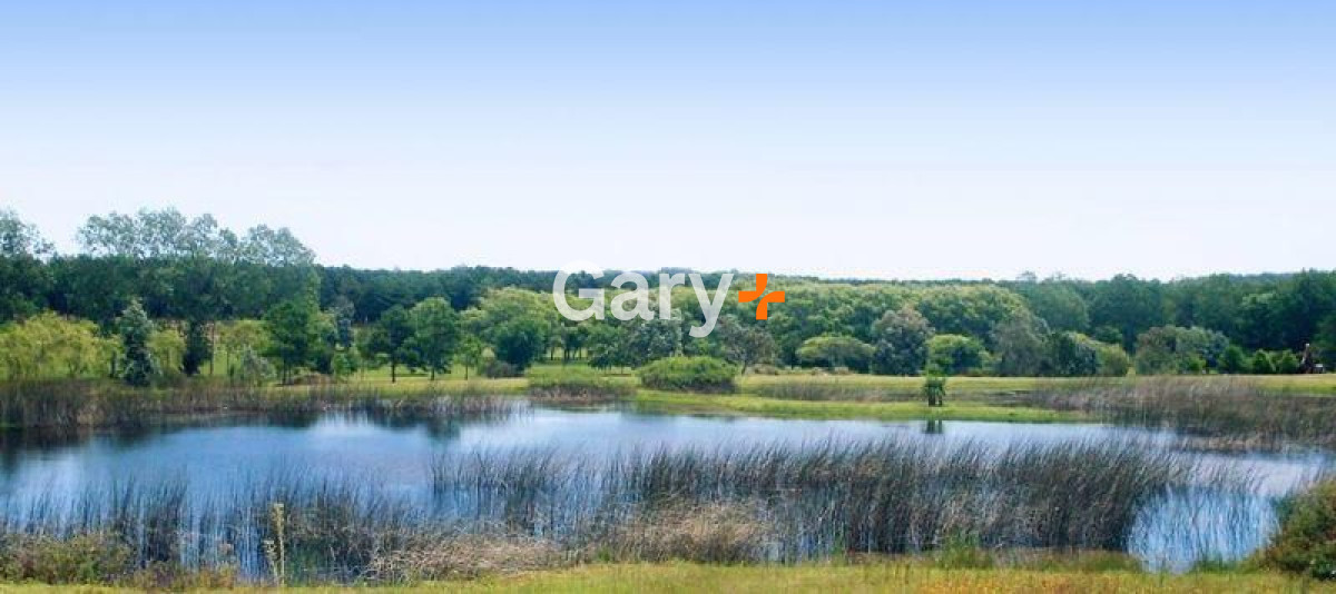 Camino Lussich - GoPunta - Portal Inmobiliario de Punta del Este - Maldonado