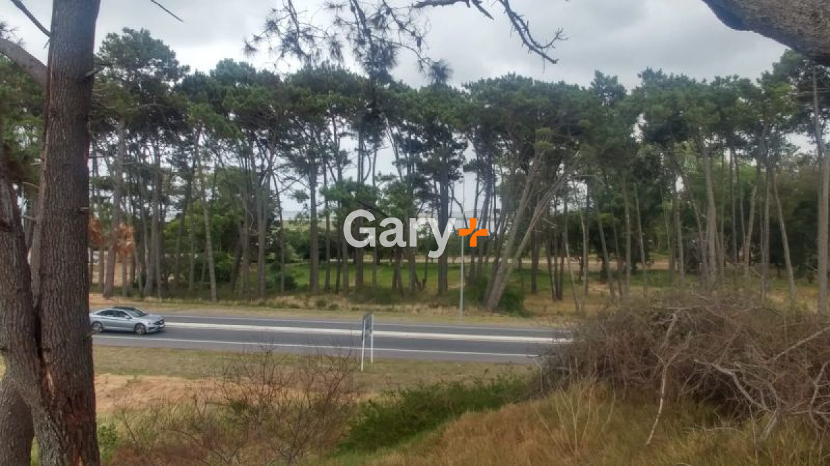 Rincón del Indio - GoPunta - Portal Inmobiliario de Punta del Este - Maldonado