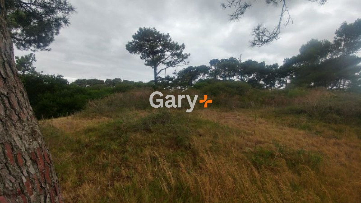 Rincón del Indio - GoPunta - Portal Inmobiliario de Punta del Este - Maldonado