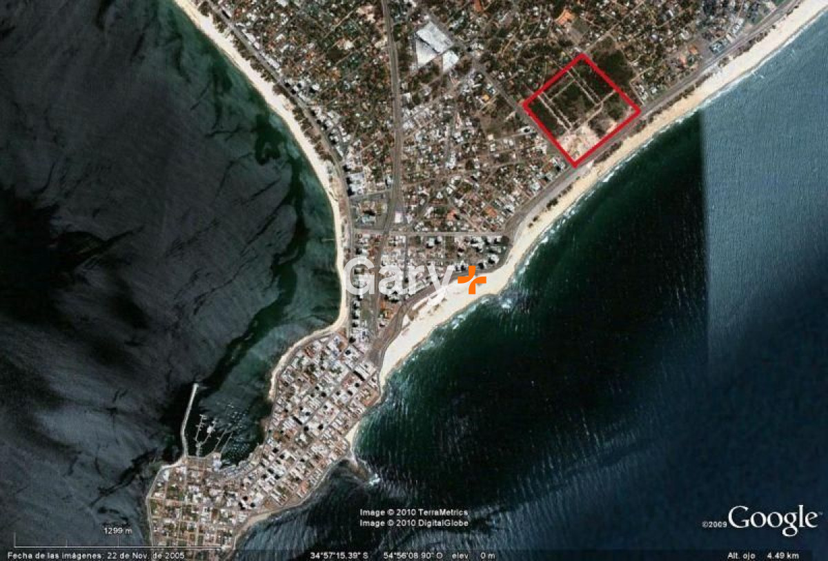 Brava - GoPunta - Portal Inmobiliario de Punta del Este - Maldonado