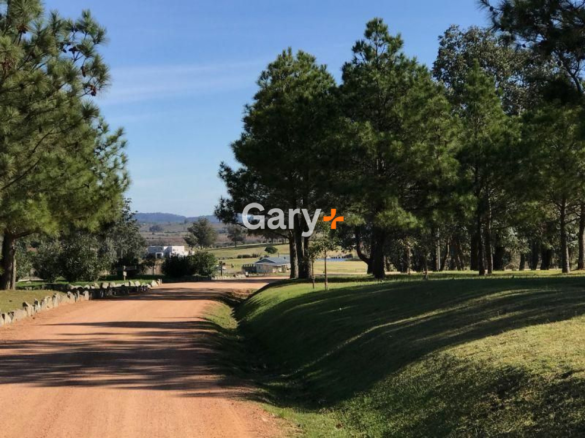 La Barra - GoPunta - Portal Inmobiliario de Punta del Este - Maldonado