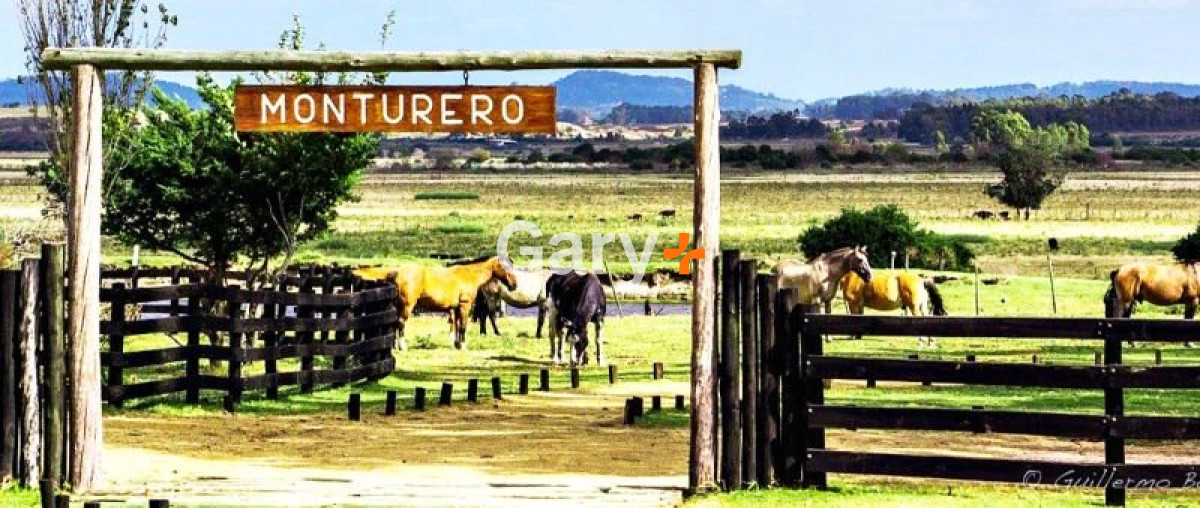Terreno ID.885 - Terreno en venta La Barra 