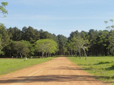 Terreno en venta Punta Del Este 