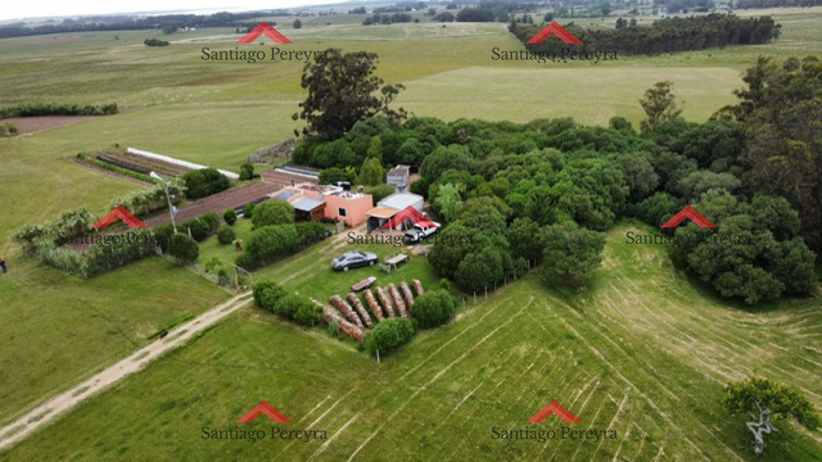 Chacra ID.14524 - CHACRA EN VENTA