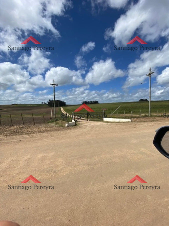 Chacra ID.14524 - CHACRA EN VENTA