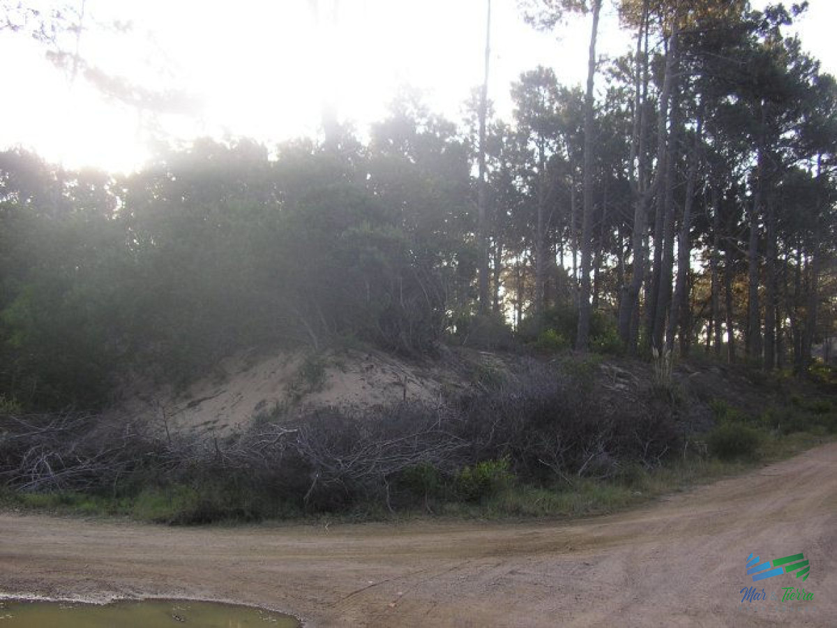 Terreno ID.5773 - Terreno en venta en Chihuahua, Punta Ballena.