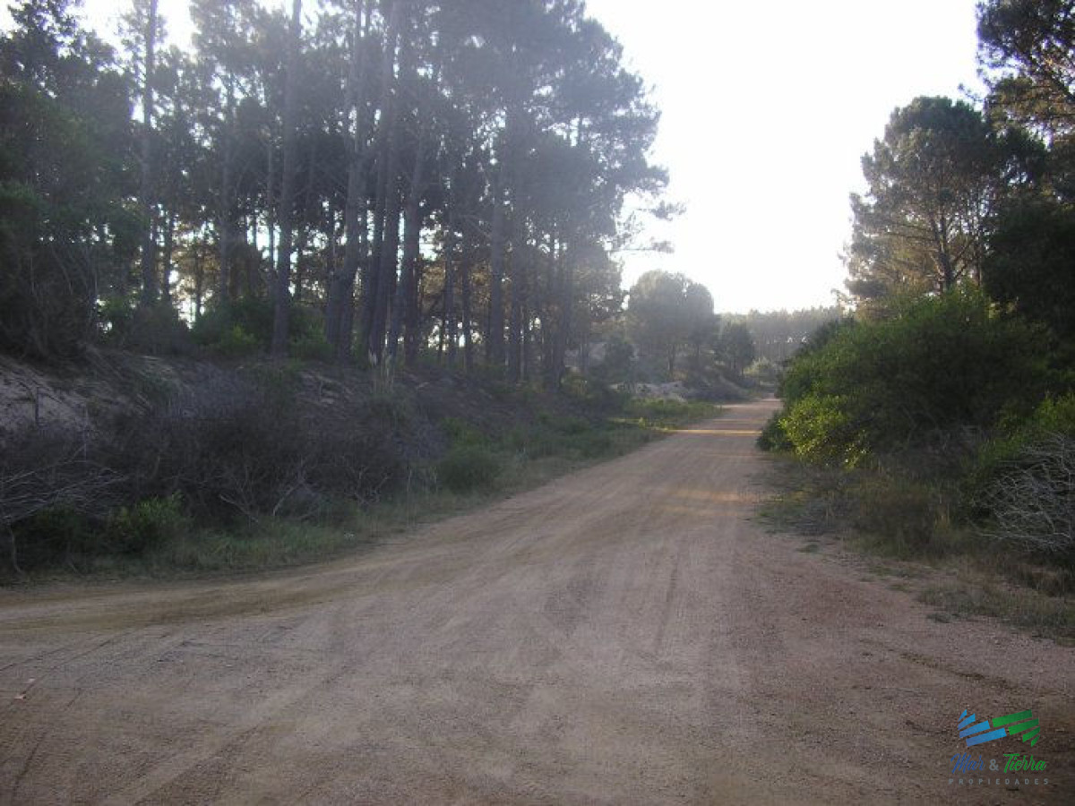 Terreno ID.5773 - Terreno en venta en Chihuahua, Punta Ballena.