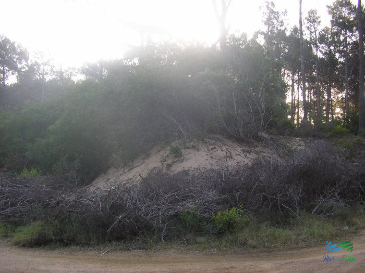 Terreno ID.5773 - Terreno en venta en Chihuahua, Punta Ballena.