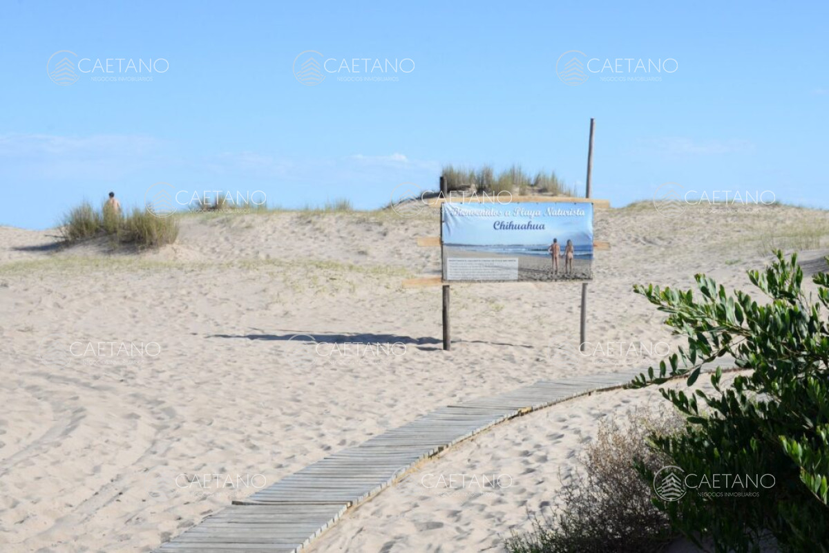 Punta Ballena - GoPunta - Portal Inmobiliario de Punta del Este - Maldonado