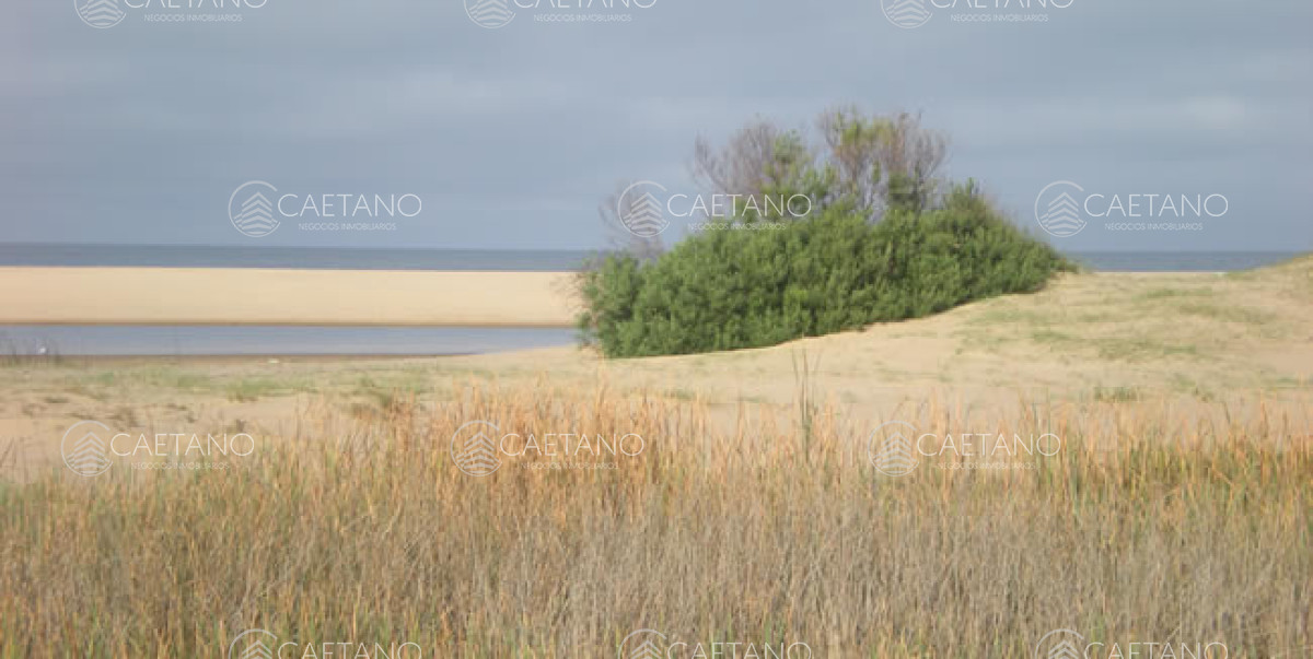 Punta Ballena - GoPunta - Portal Inmobiliario de Punta del Este - Maldonado