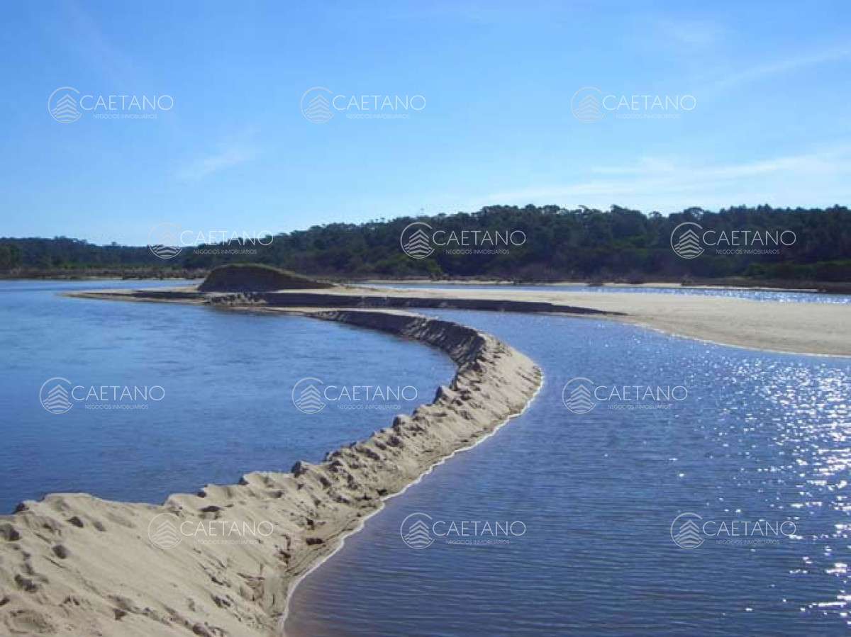 Punta Ballena - GoPunta - Portal Inmobiliario de Punta del Este - Maldonado