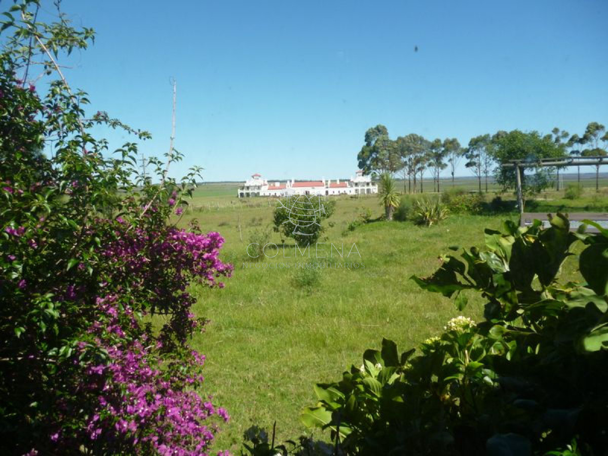 Chacra en    Punta del Este   Zona Jose Ignacio, frente a Estancia VIK. - GoPunta - Portal Inmobiliario de Punta del Este - Maldonado