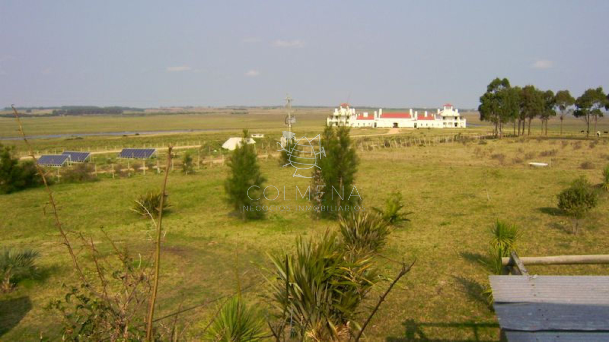 Chacra en    Punta del Este   Zona Jose Ignacio, frente a Estancia VIK. - GoPunta - Portal Inmobiliario de Punta del Este - Maldonado