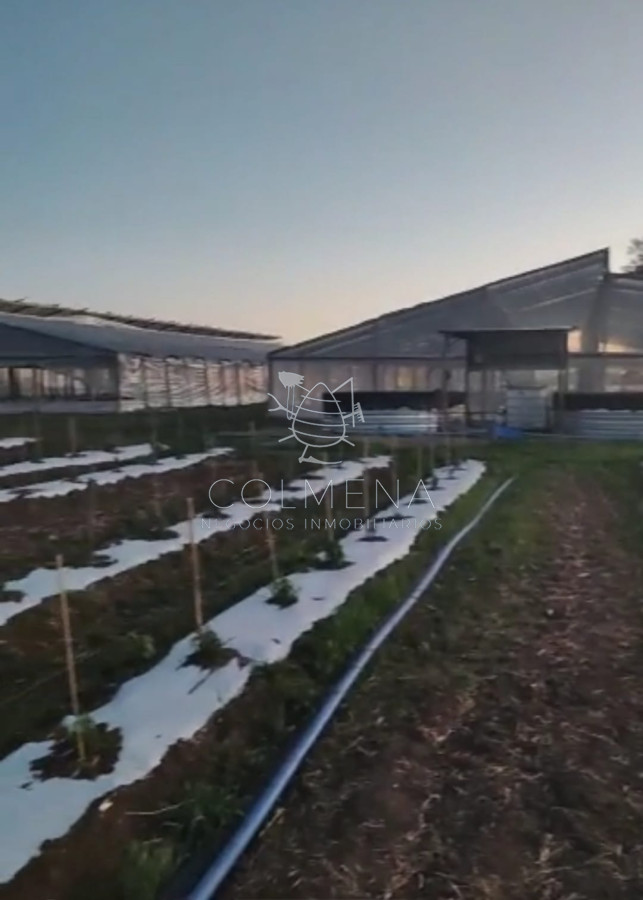 Campo en Canelones - GoPunta - Portal Inmobiliario de Punta del Este - Maldonado