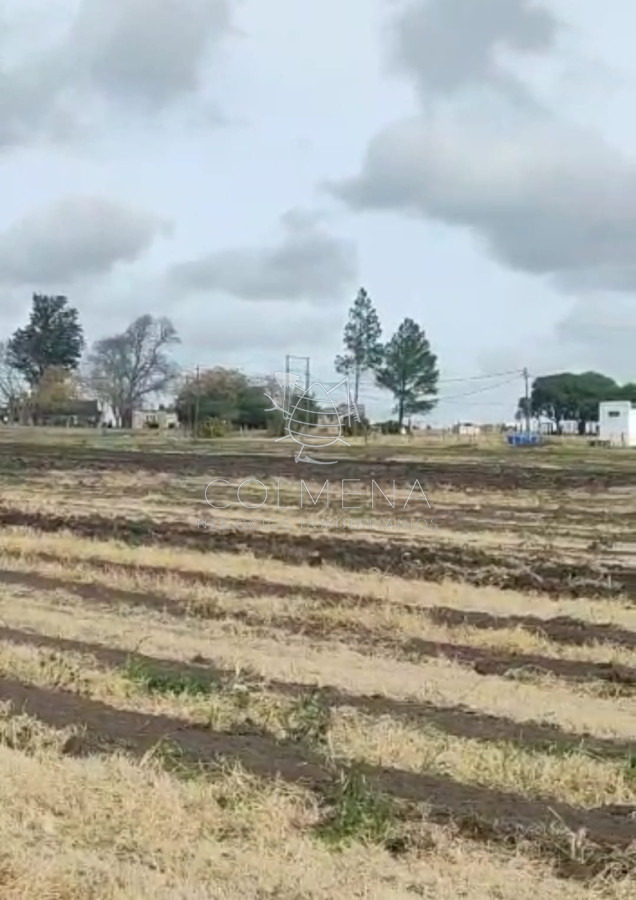 Campo en Canelones - GoPunta - Portal Inmobiliario de Punta del Este - Maldonado