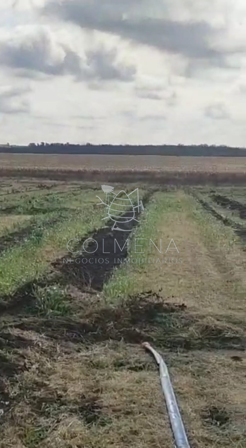 Campo en Canelones - GoPunta - Portal Inmobiliario de Punta del Este - Maldonado