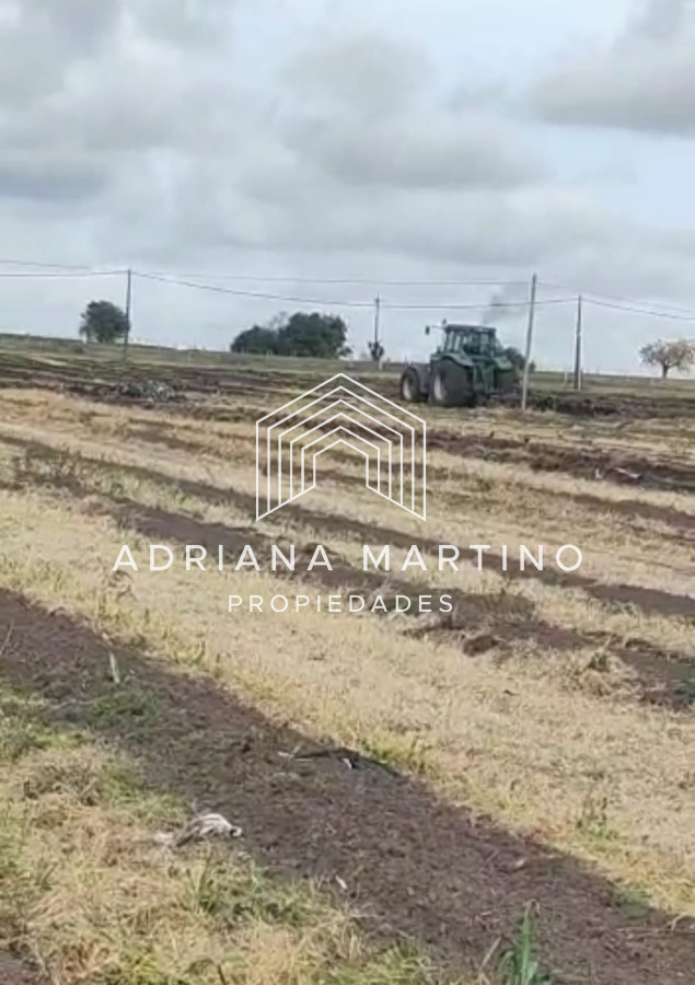 Campo Ref.70468 - Campo en , 