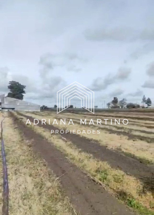 Campo Ref.70468 - Campo en , 