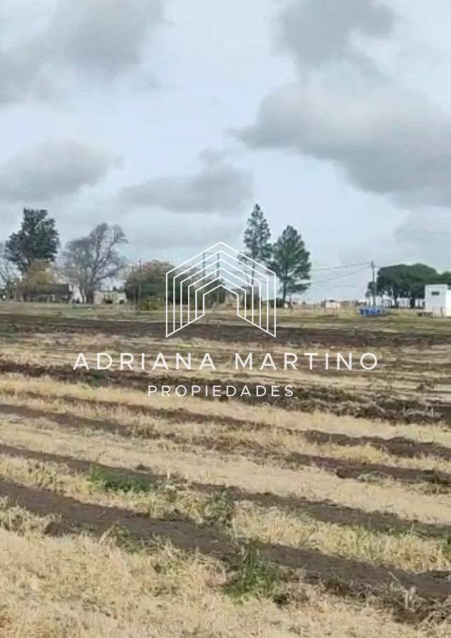 Campo Ref.70468 - Campo en , 