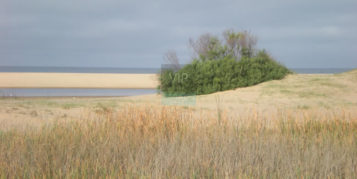 Punta Ballena - GoPunta - Portal Inmobiliario de Punta del Este - Maldonado