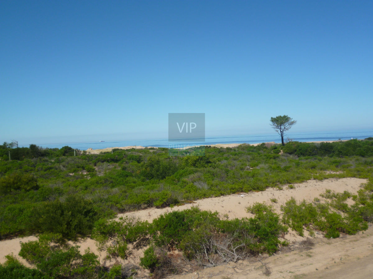 Punta Ballena - GoPunta - Portal Inmobiliario de Punta del Este - Maldonado