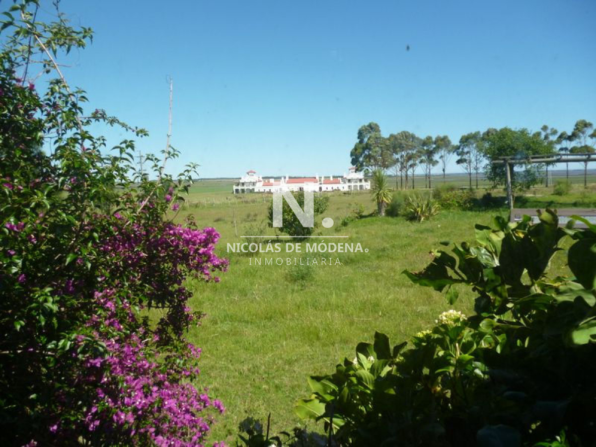 Propiedad - GoPunta - Portal Inmobiliario de Punta del Este - Maldonado
