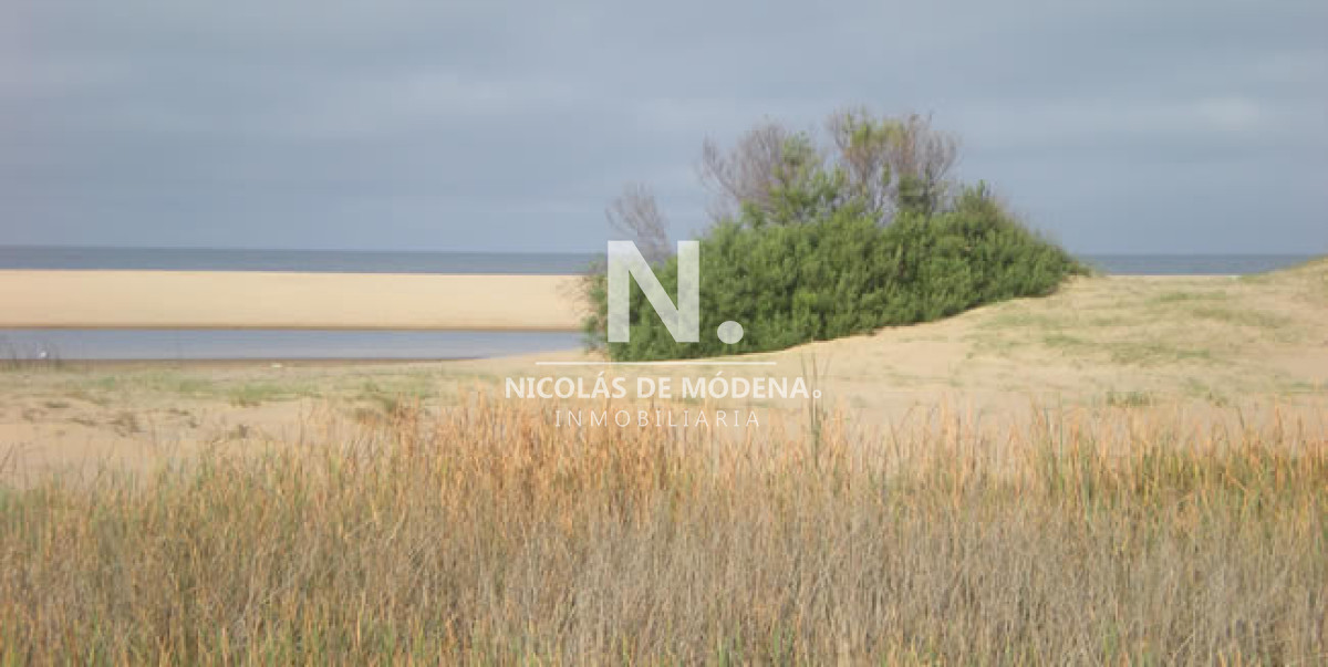 Punta Ballena - GoPunta - Portal Inmobiliario de Punta del Este - Maldonado