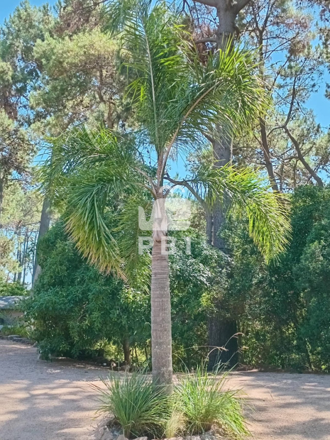 Q2FzYSBlbiB2ZW50YSAsIExhZ3VuYSBkZWwgU2F1Y2UgLSBSZWYgOiBQQkkxNTY1Nw==