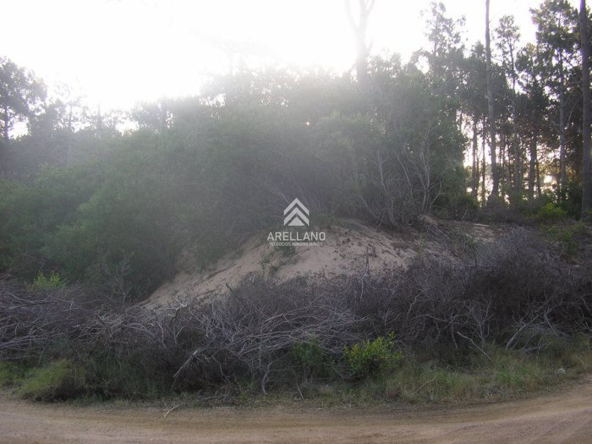 Terreno ID.1606 - Excelentes lotes en Chihuahua - terreno en chihuahua
