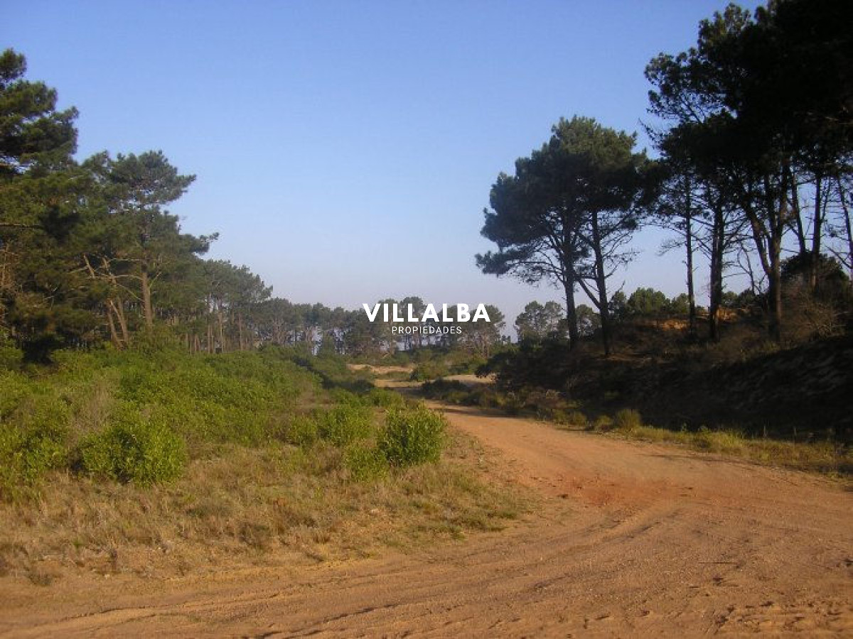 Terreno ID.4102 - Excelentes lotes en Chihuahua