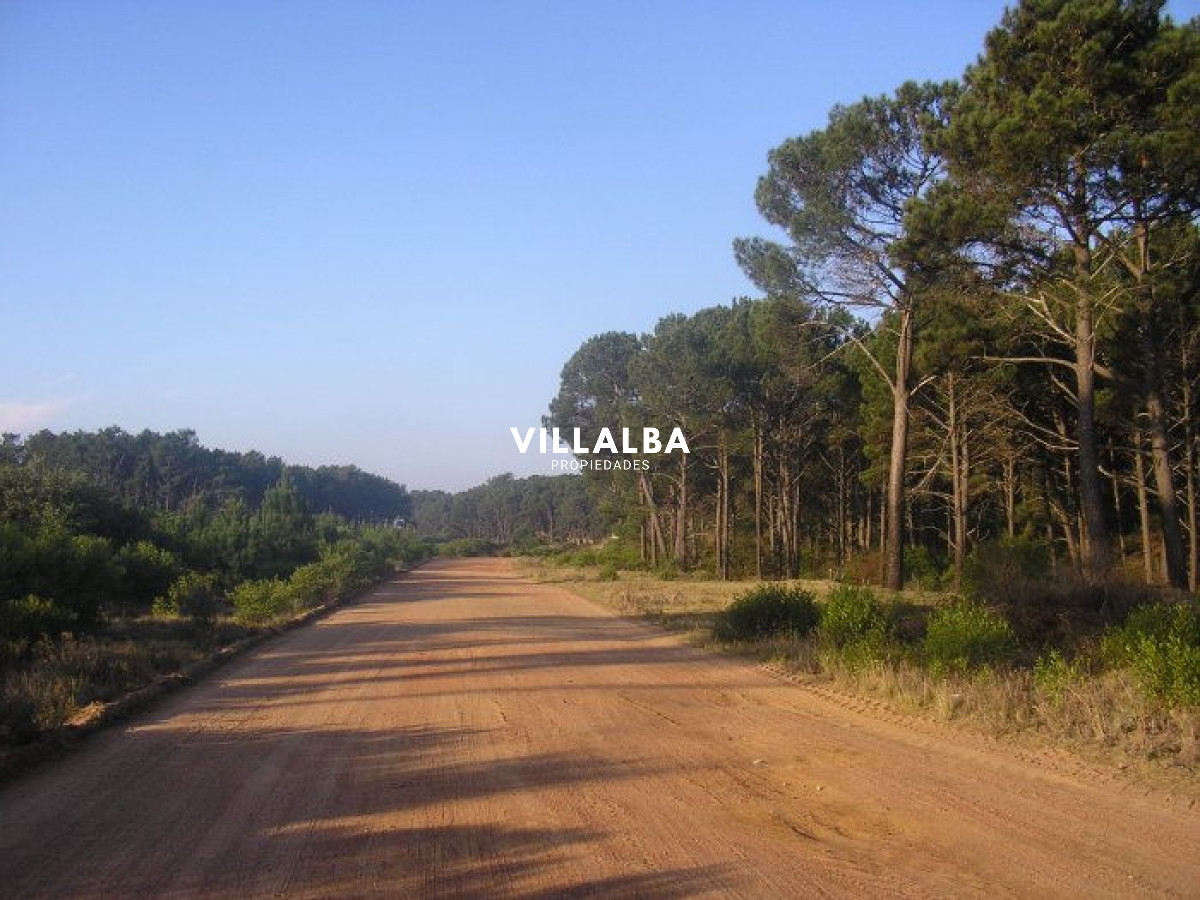 Terreno ID.4102 - Excelentes lotes en Chihuahua