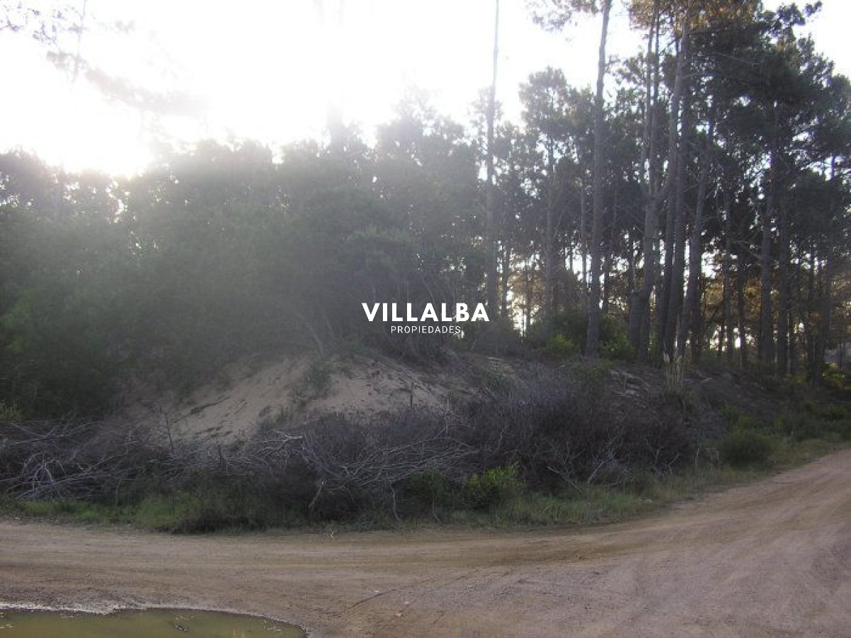 Terreno ID.4102 - Excelentes lotes en Chihuahua