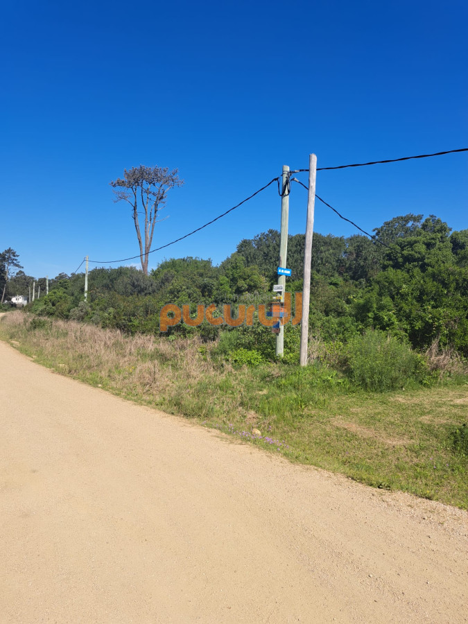 Ocean Park - GoPunta - Portal Inmobiliario de Punta del Este - Maldonado