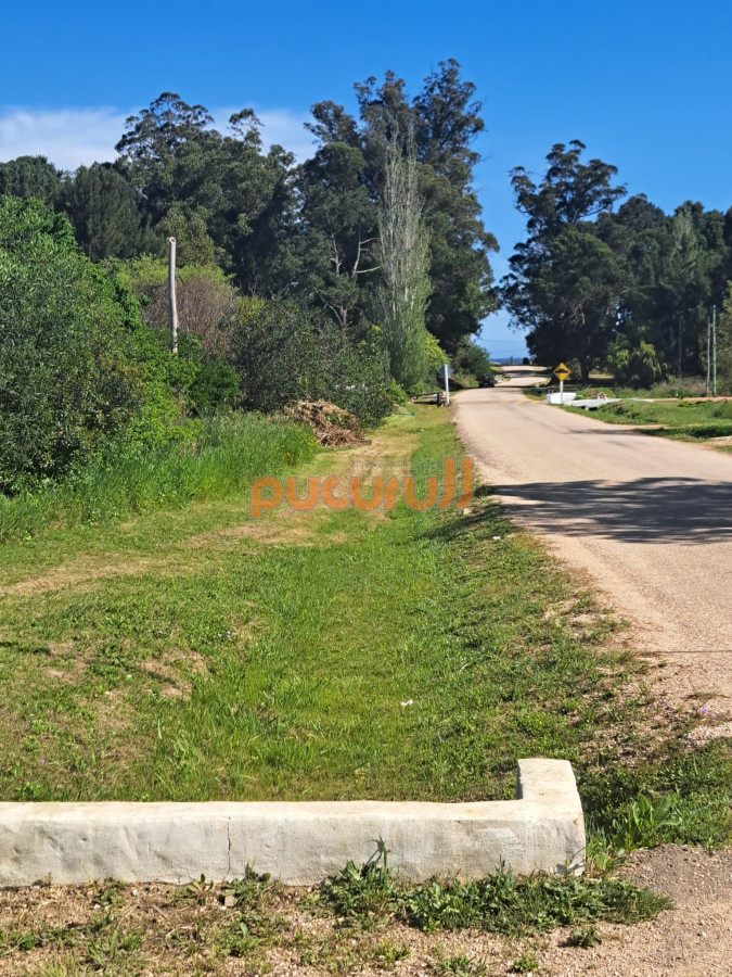 Ocean Park - GoPunta - Portal Inmobiliario de Punta del Este - Maldonado
