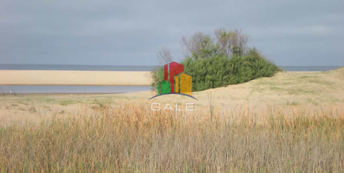 Punta Ballena - GoPunta - Portal Inmobiliario de Punta del Este - Maldonado