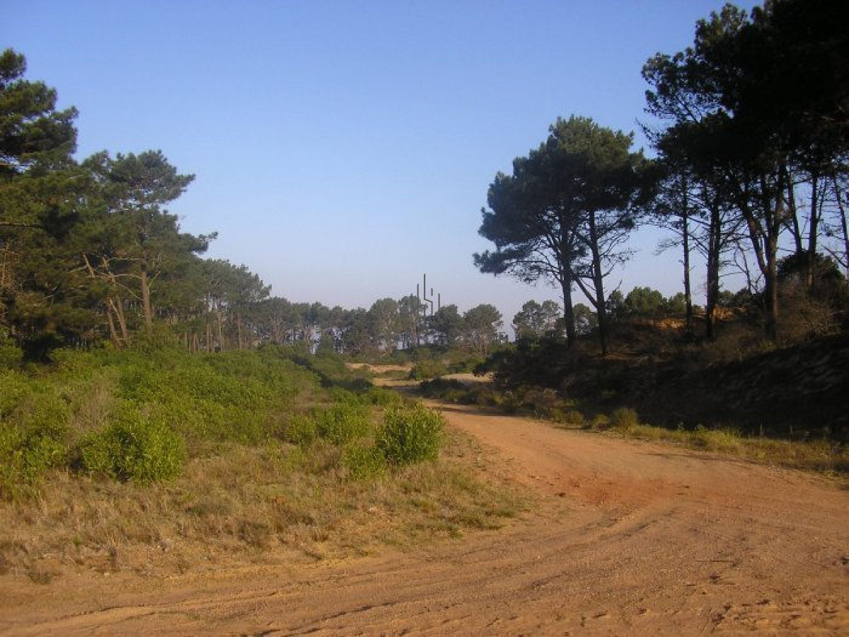 Terreno ID.482 - Excelentes lotes en Chihuahua
