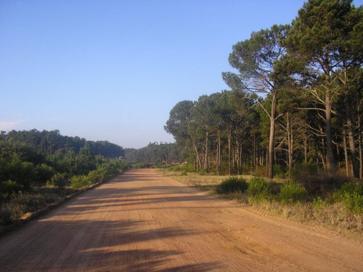 Terreno ID.482 - Excelentes lotes en Chihuahua