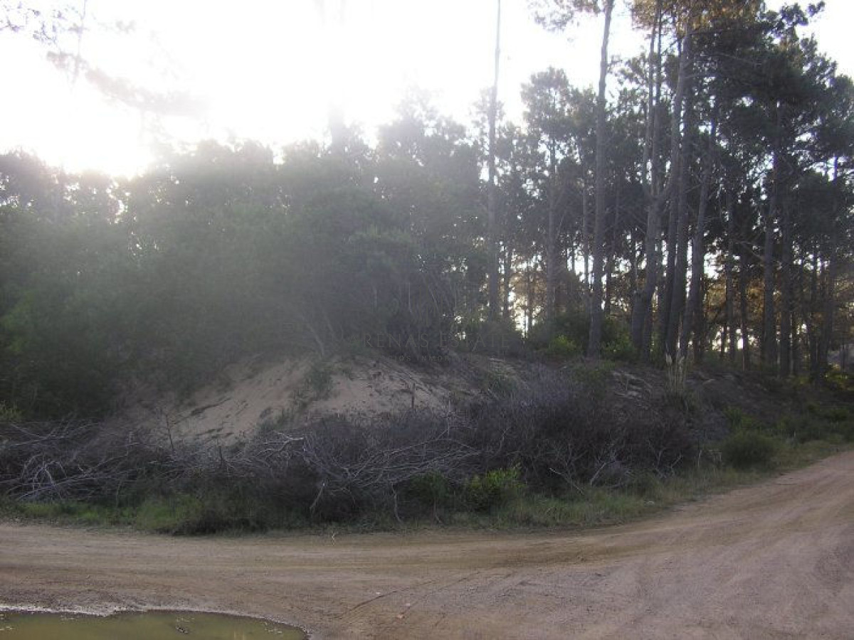 Terreno ID.482 - Excelentes lotes en Chihuahua
