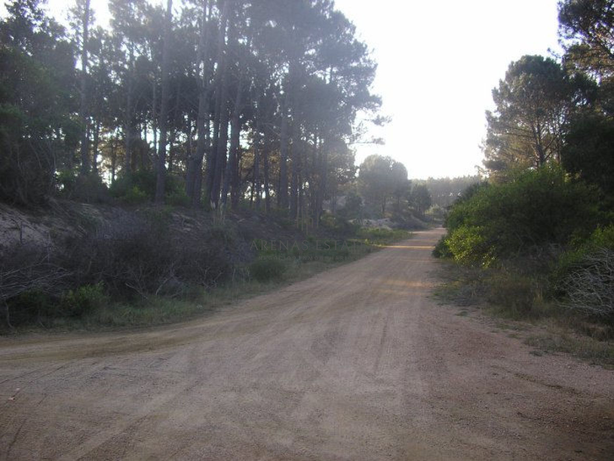 Terreno ID.482 - Excelentes lotes en Chihuahua