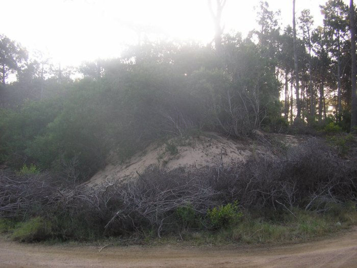 Terreno ID.482 - Excelentes lotes en Chihuahua