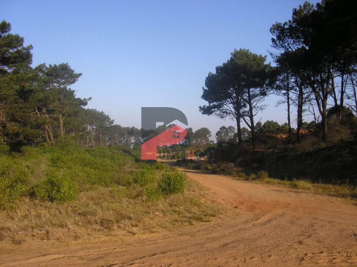 Terreno ID.267 - Excelentes lotes en Chihuahua