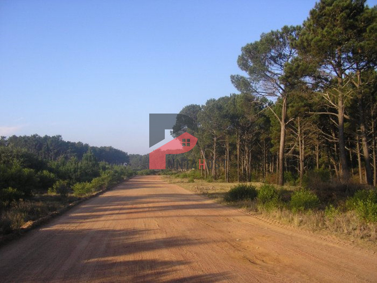 Terreno ID.267 - Excelentes lotes en Chihuahua