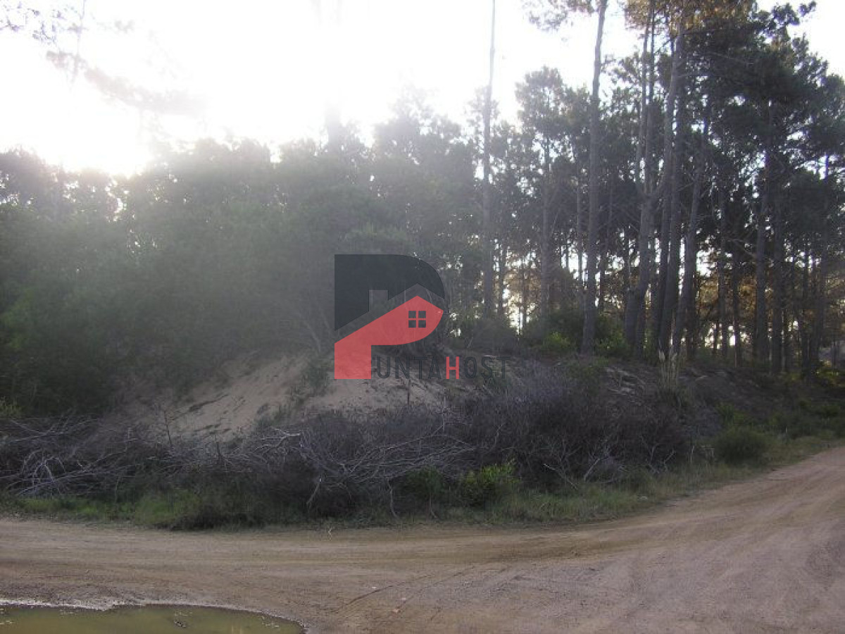 Terreno ID.267 - Excelentes lotes en Chihuahua