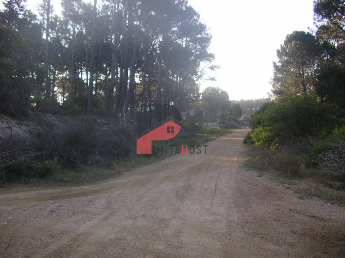 Terreno ID.267 - Excelentes lotes en Chihuahua