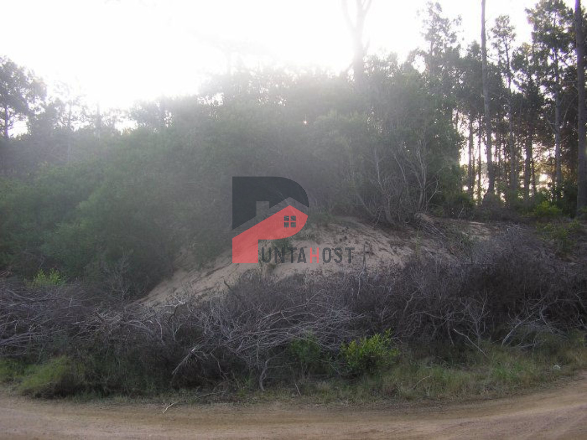 Terreno ID.267 - Excelentes lotes en Chihuahua
